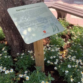 Faristol amb peu de fusta per arbres